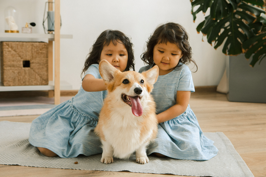 Pet Horoscopes: Your Gemini Pet