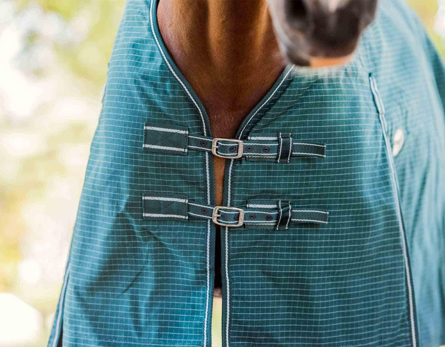 Blaze Lined Canvas Horse Rug 20oz