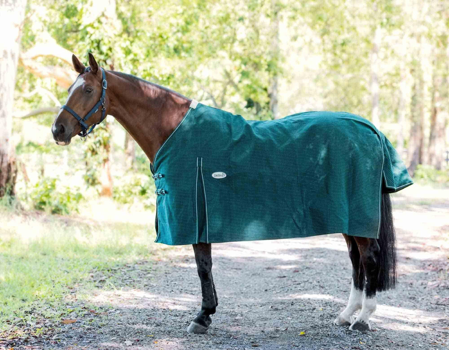 Blaze Lined Canvas Horse Rug 20oz