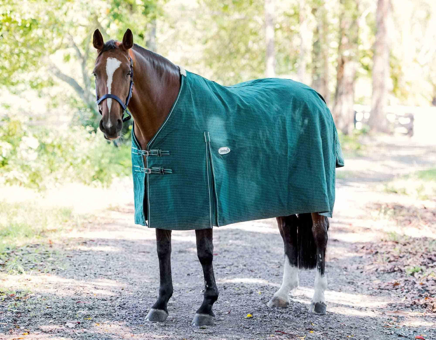 Blaze Lined Canvas Horse Rug 20oz