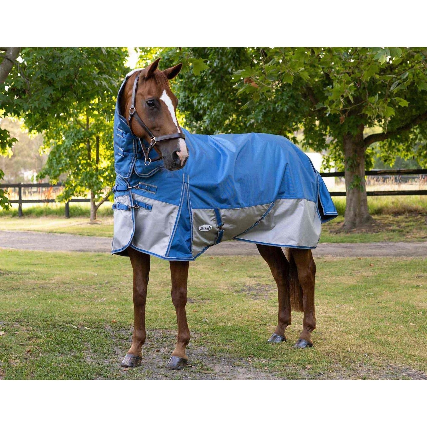 Caribu Colorado Combo Horse Rug 200g