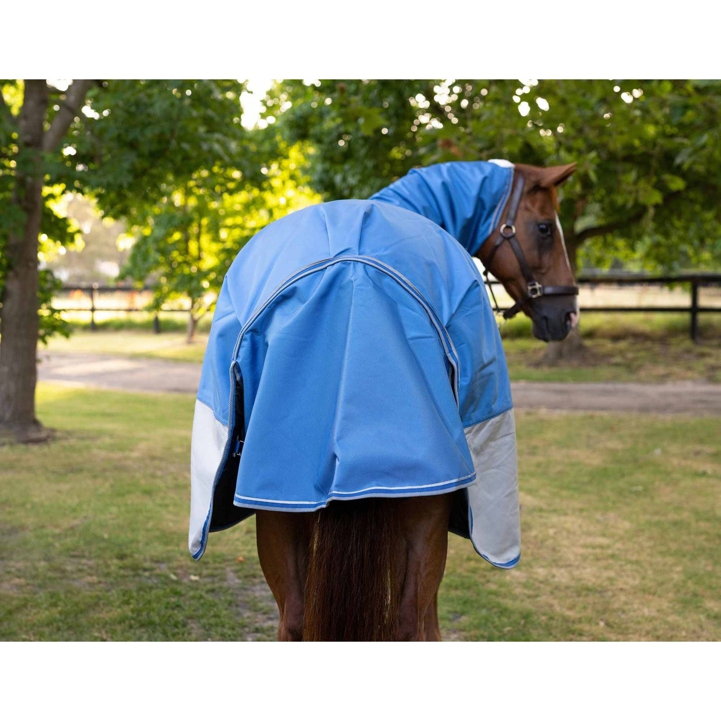 Caribu Colorado Combo Horse Rug 200g