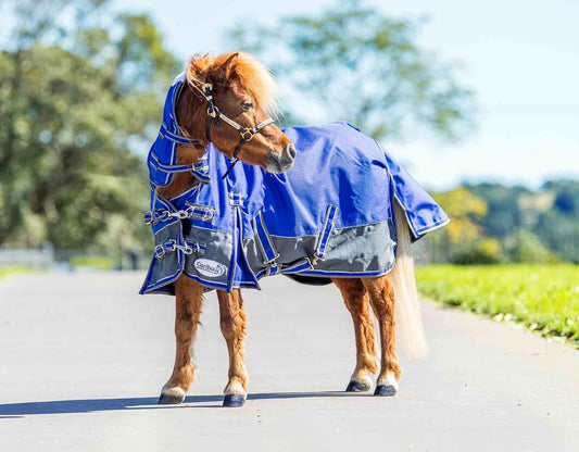 Caribu Mini Eclipse Combo Horse Rug