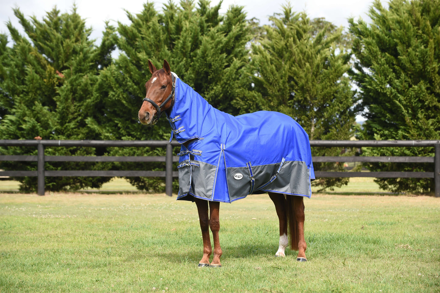 Clearance Eclipse 1200D Rainsheet Combo