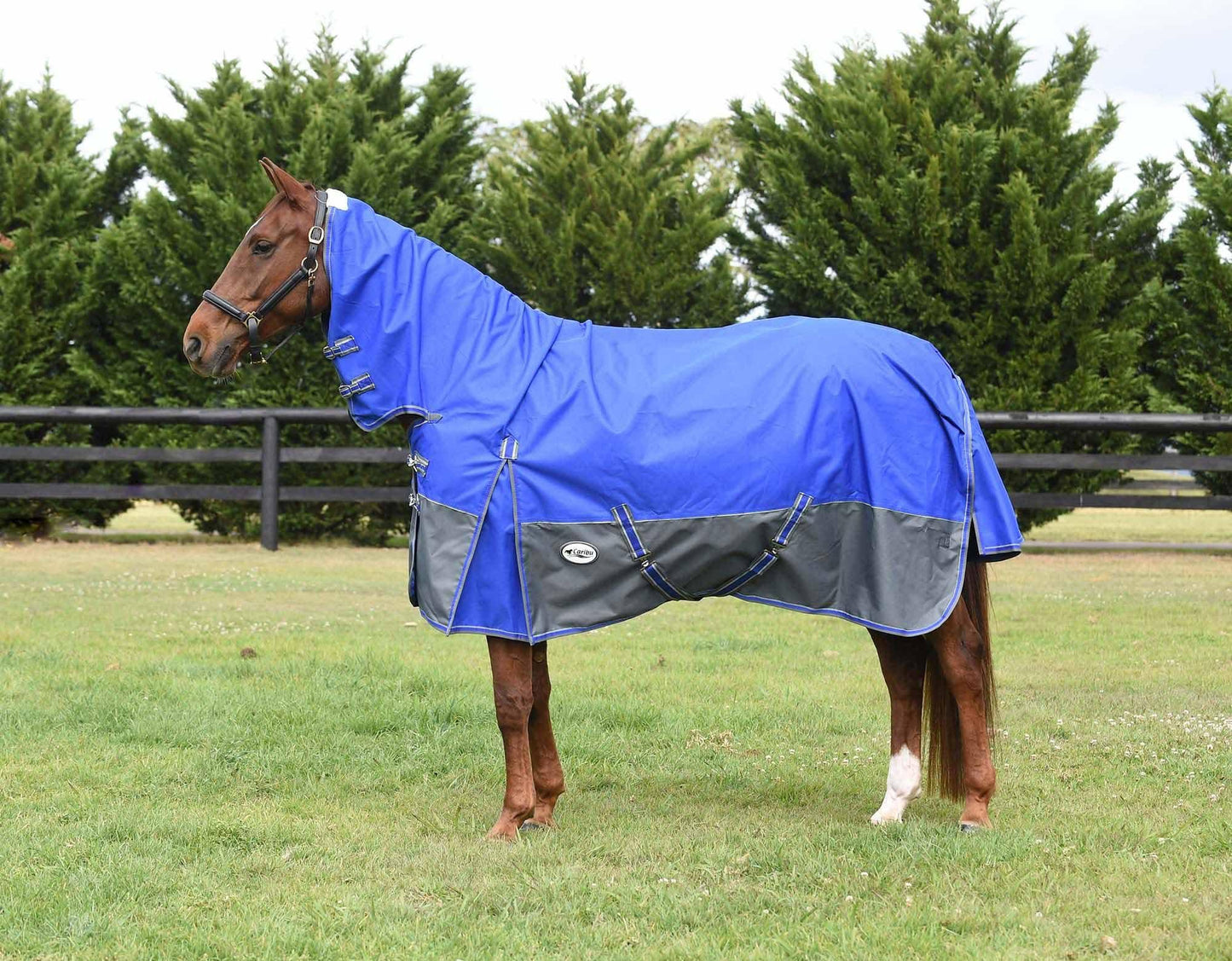 Eclipse Rainsheet Combo