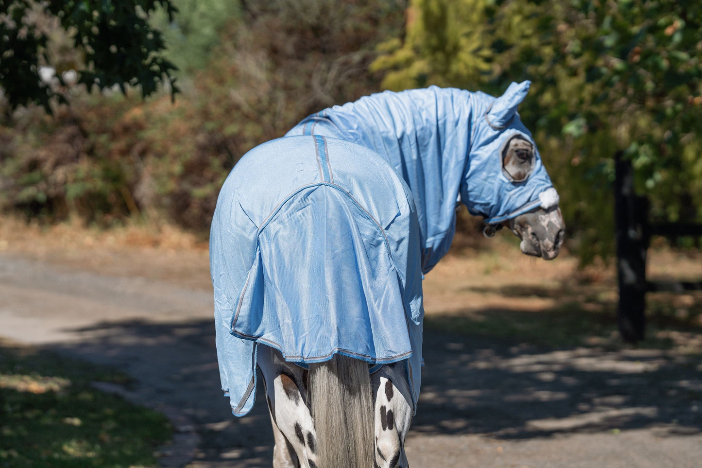 Caribu Euro Mesh Hooded Combo