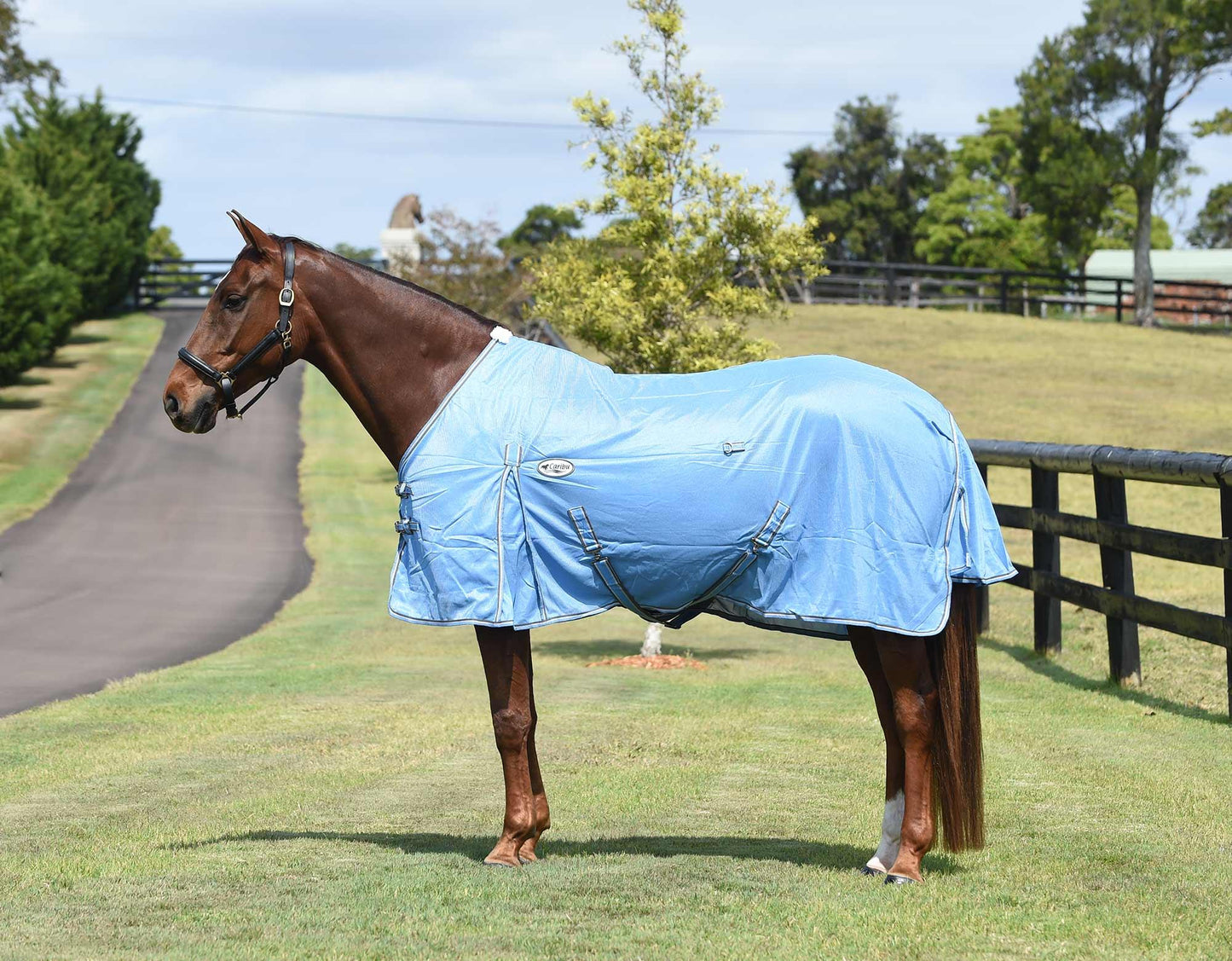 Caribu Euro 270gsm Mesh Horse Rug