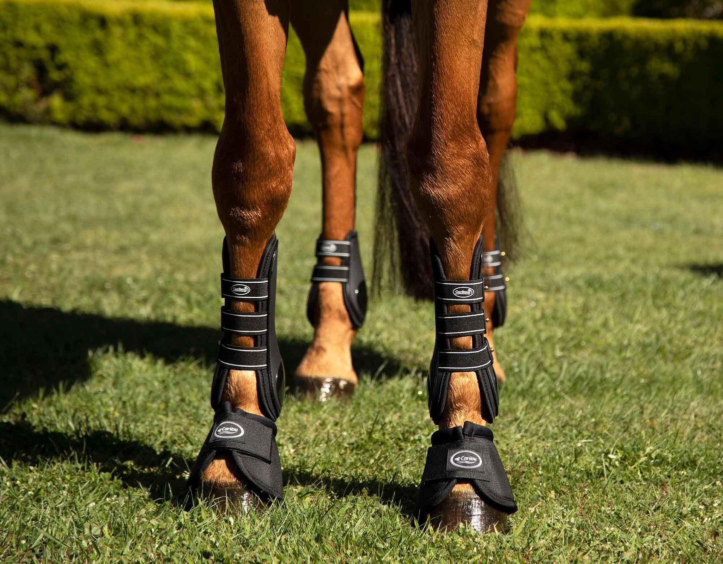 Caribu Fetlock Boot Stud