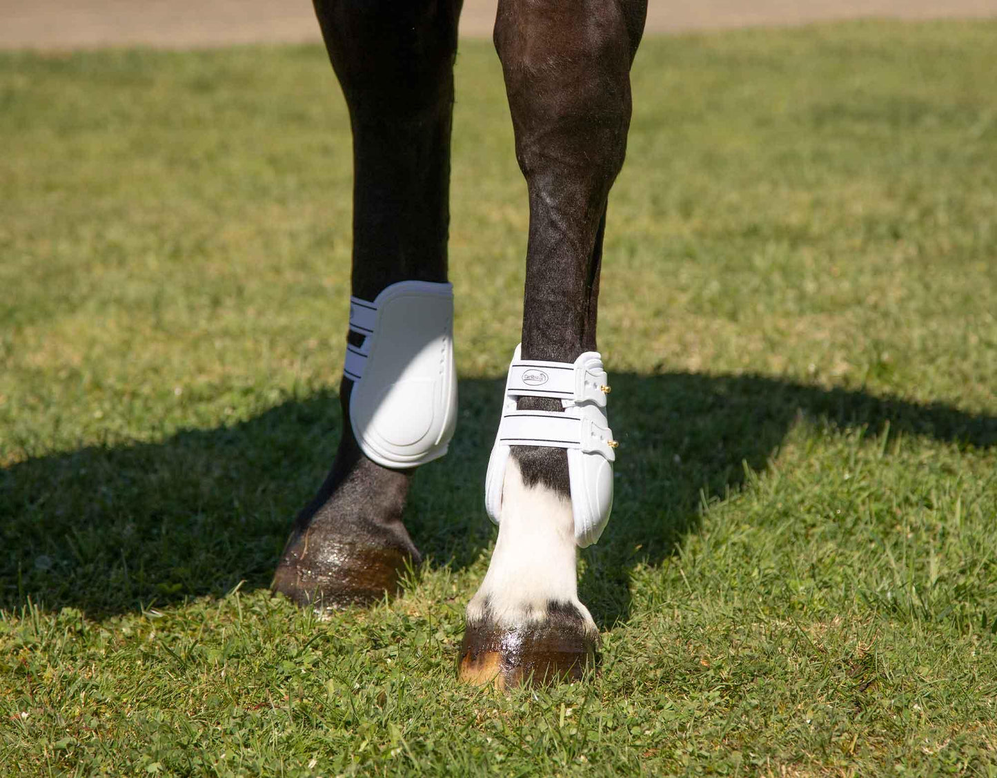 Caribu Fetlock Boot Stud