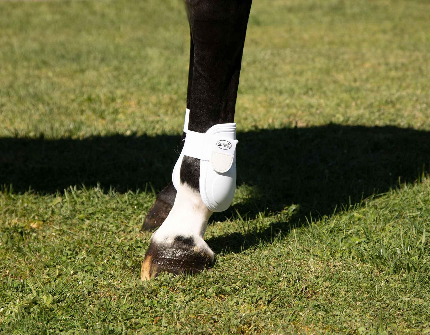 Caribu Fetlock Boot Velcro