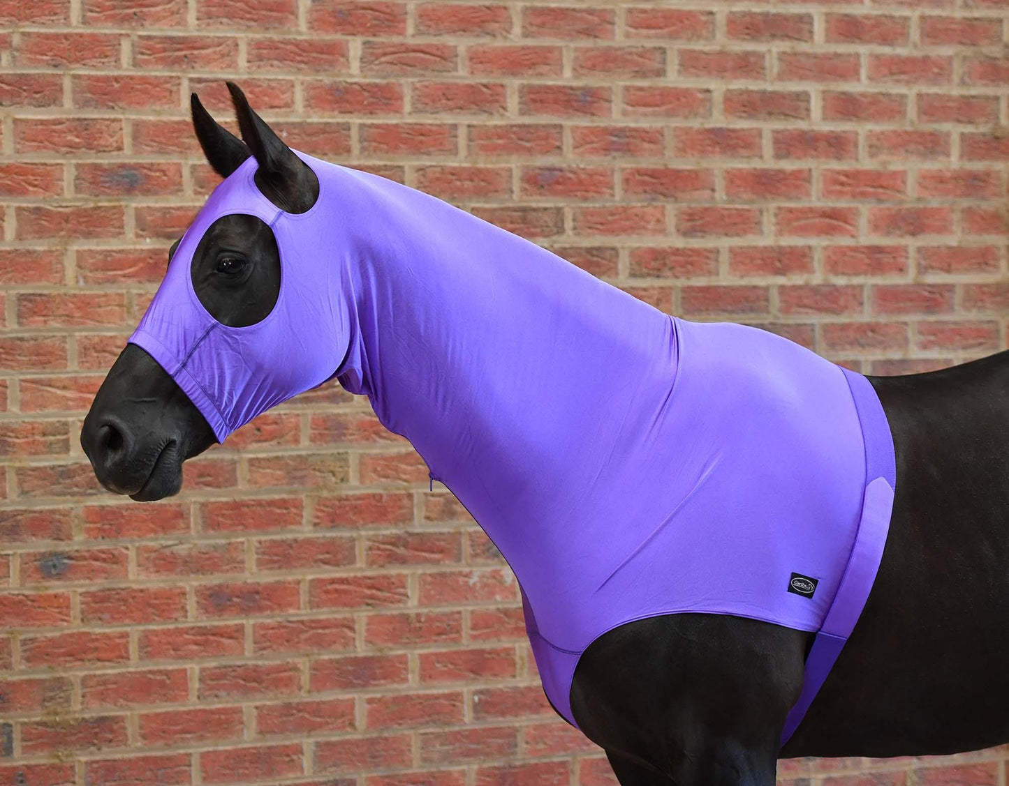 Caribu Lycra Horse Hood