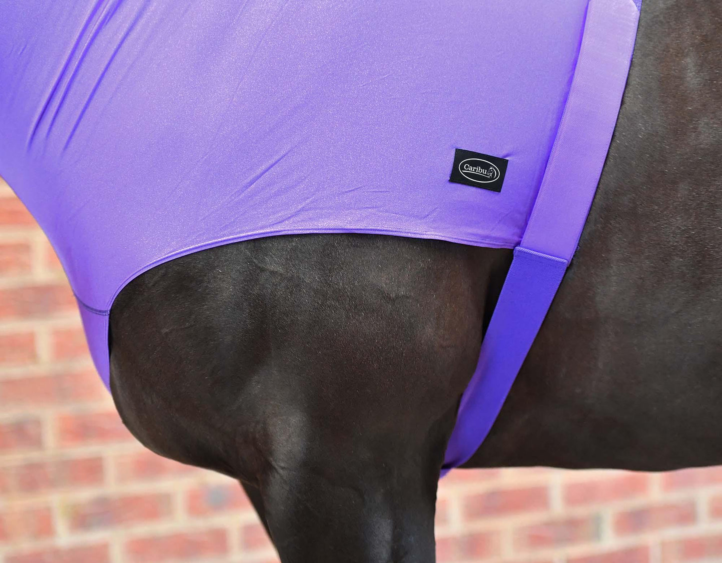 Caribu Lycra Horse Hood