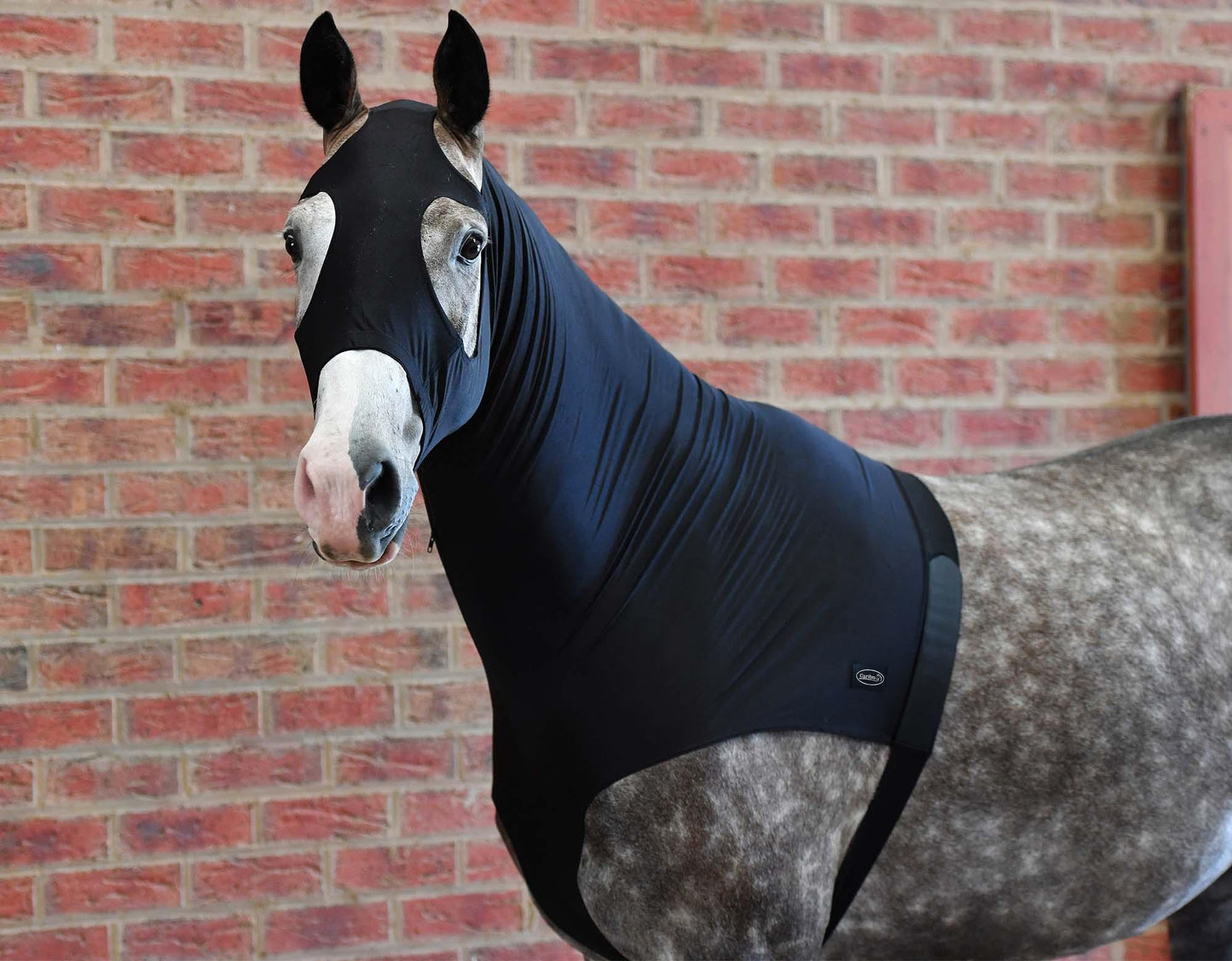 Caribu Lycra Horse Hood