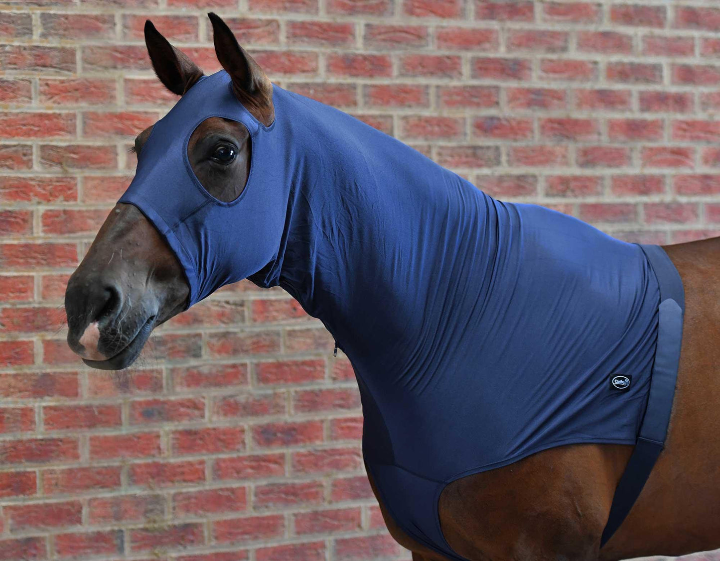 Caribu Lycra Horse Hood