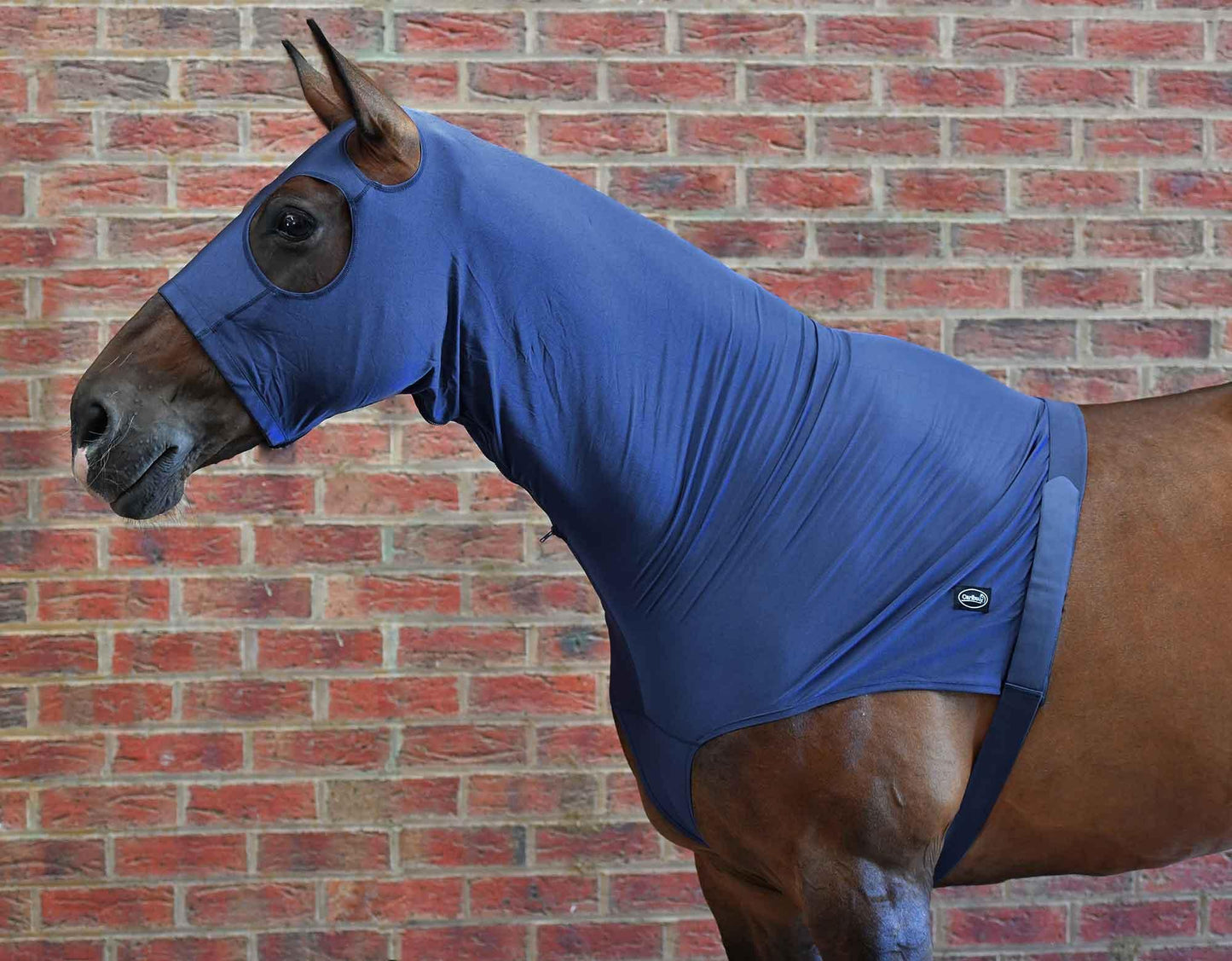 Caribu Lycra Horse Hood