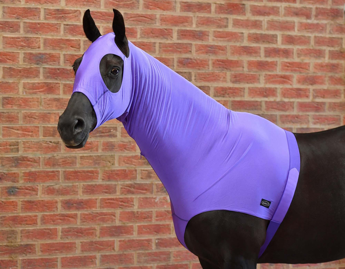 Caribu Lycra Horse Hood