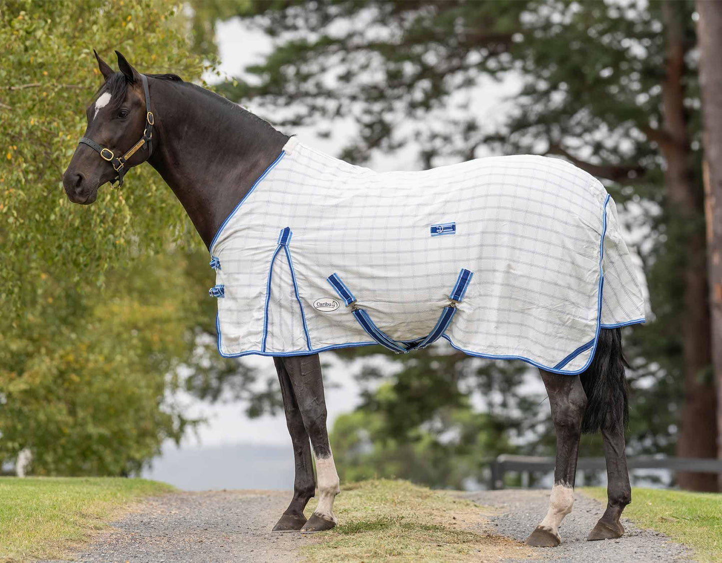 Caribu Summer Ripstop Horse Rug