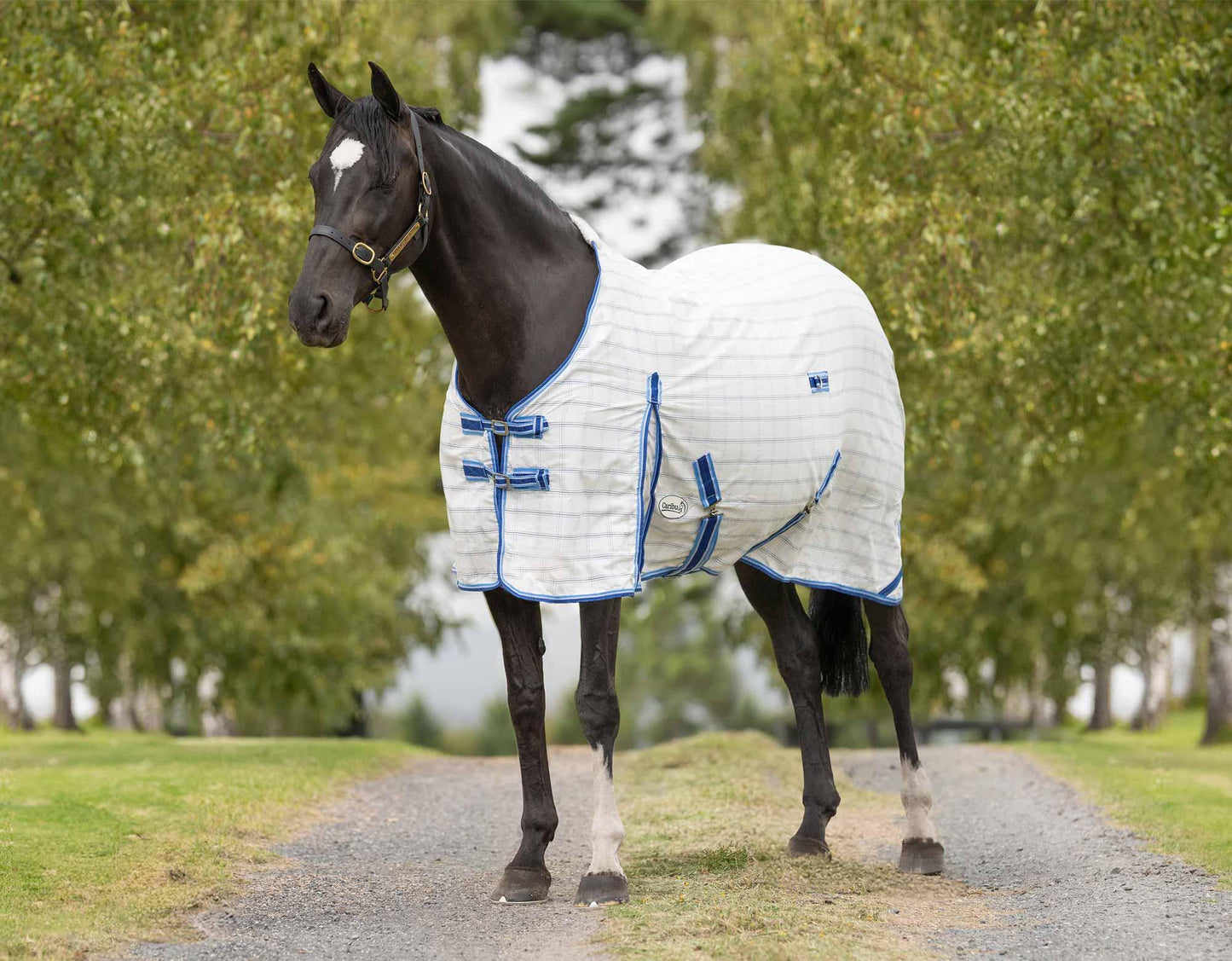 Caribu Summer Ripstop Horse Rug