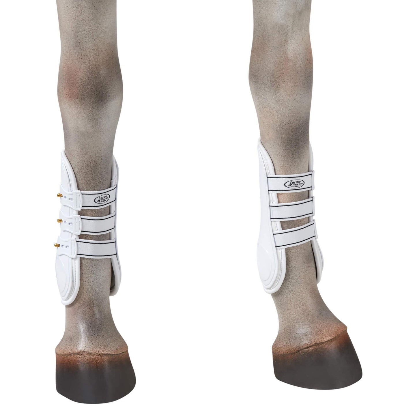 Caribu Tendon Horse Boot