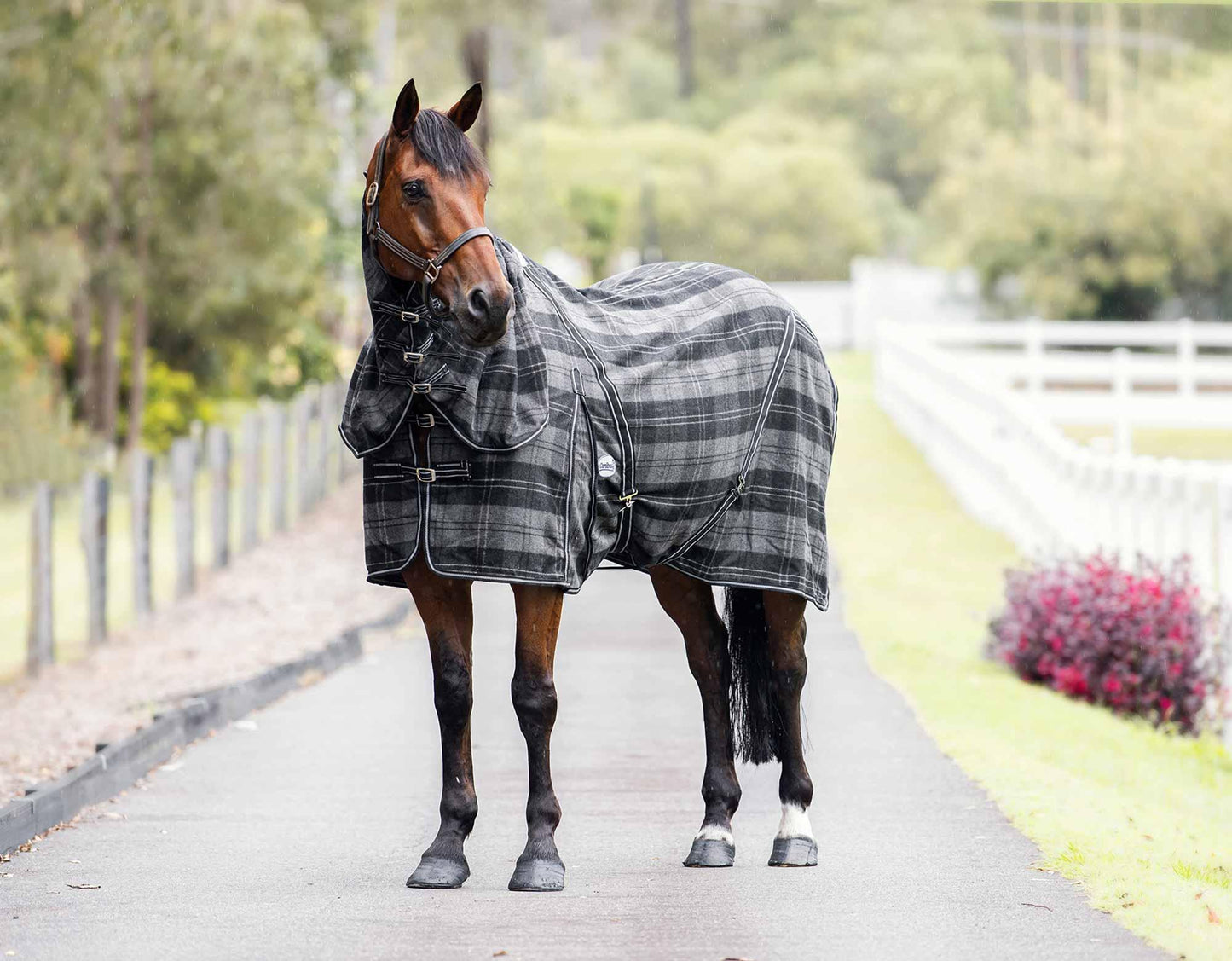 Caribu Combo Wool Horse Rug