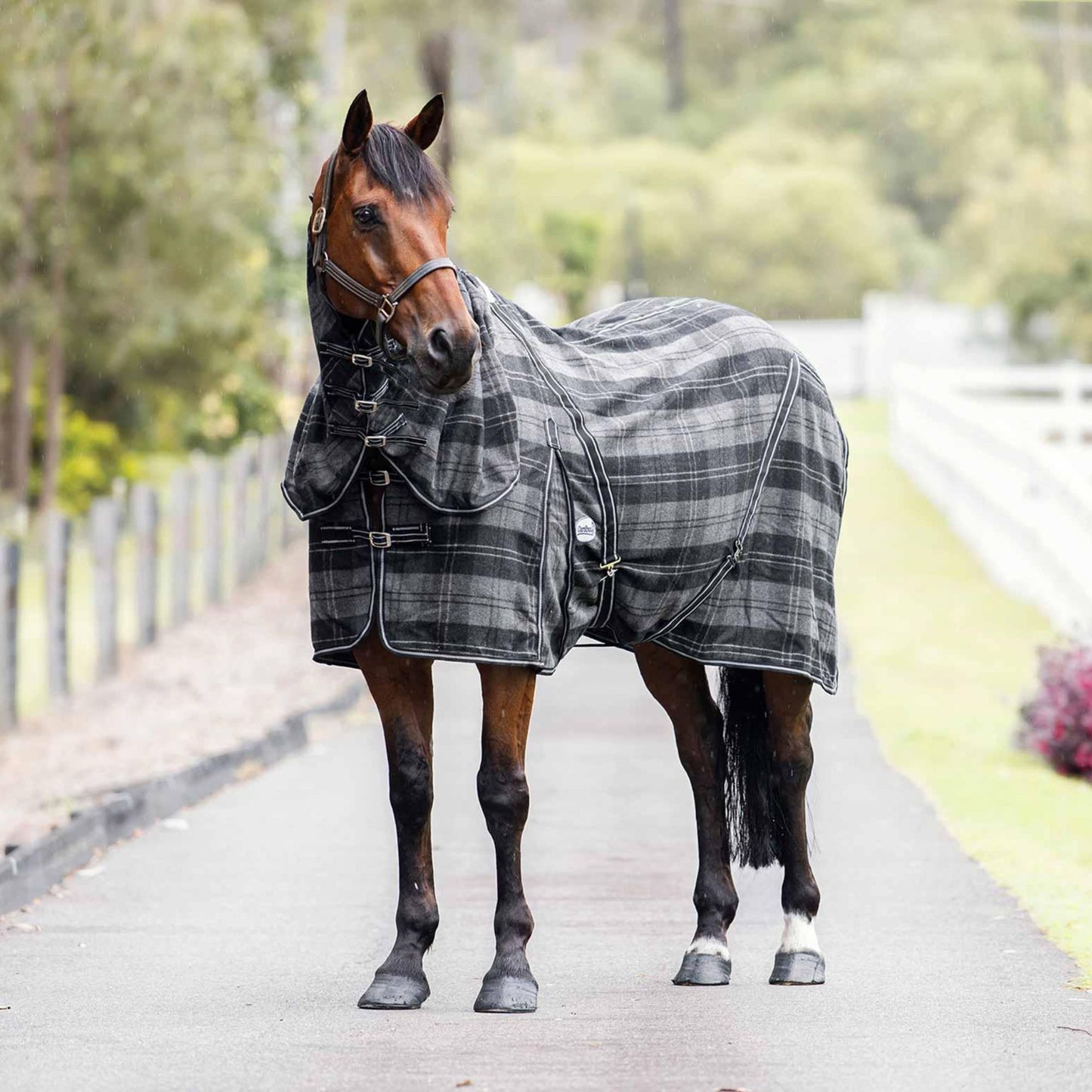 Caribu Combo Wool Horse Rug