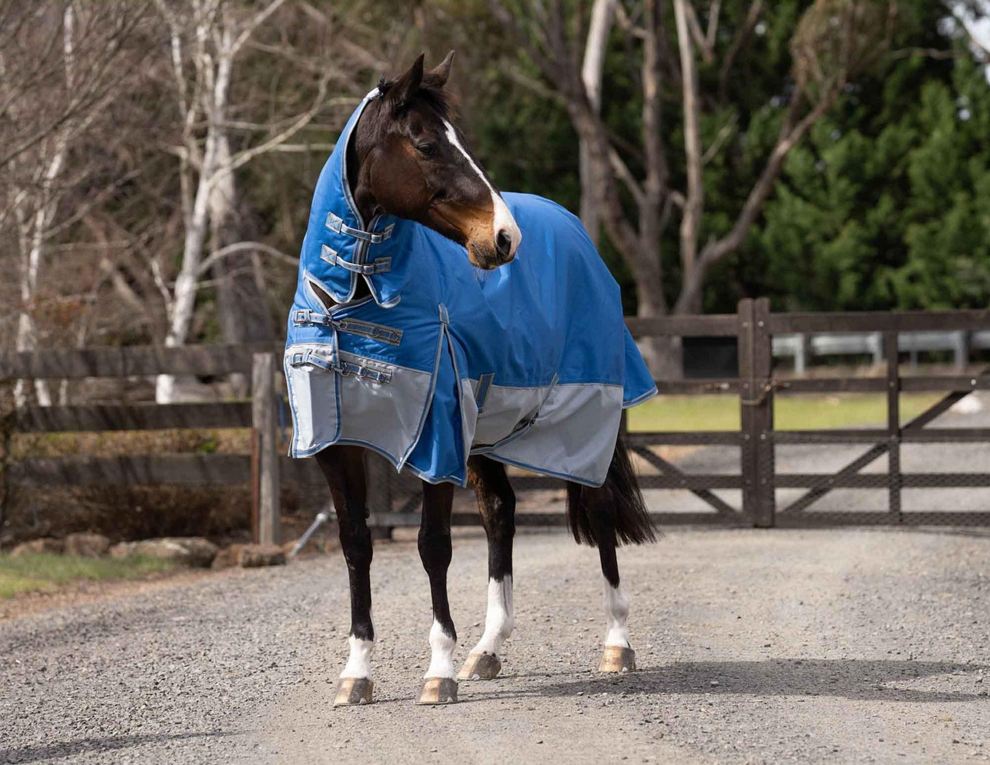Caribu Alpine Combo Horse Rug 200g Sky Blue