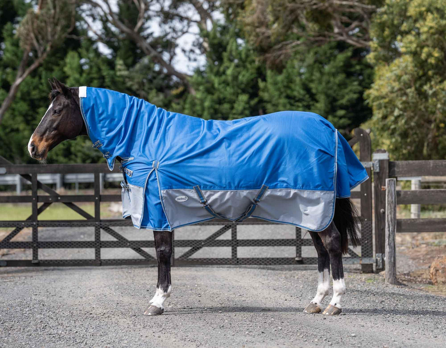 Caribu Alpine Combo Horse Rug 200g Sky Blue