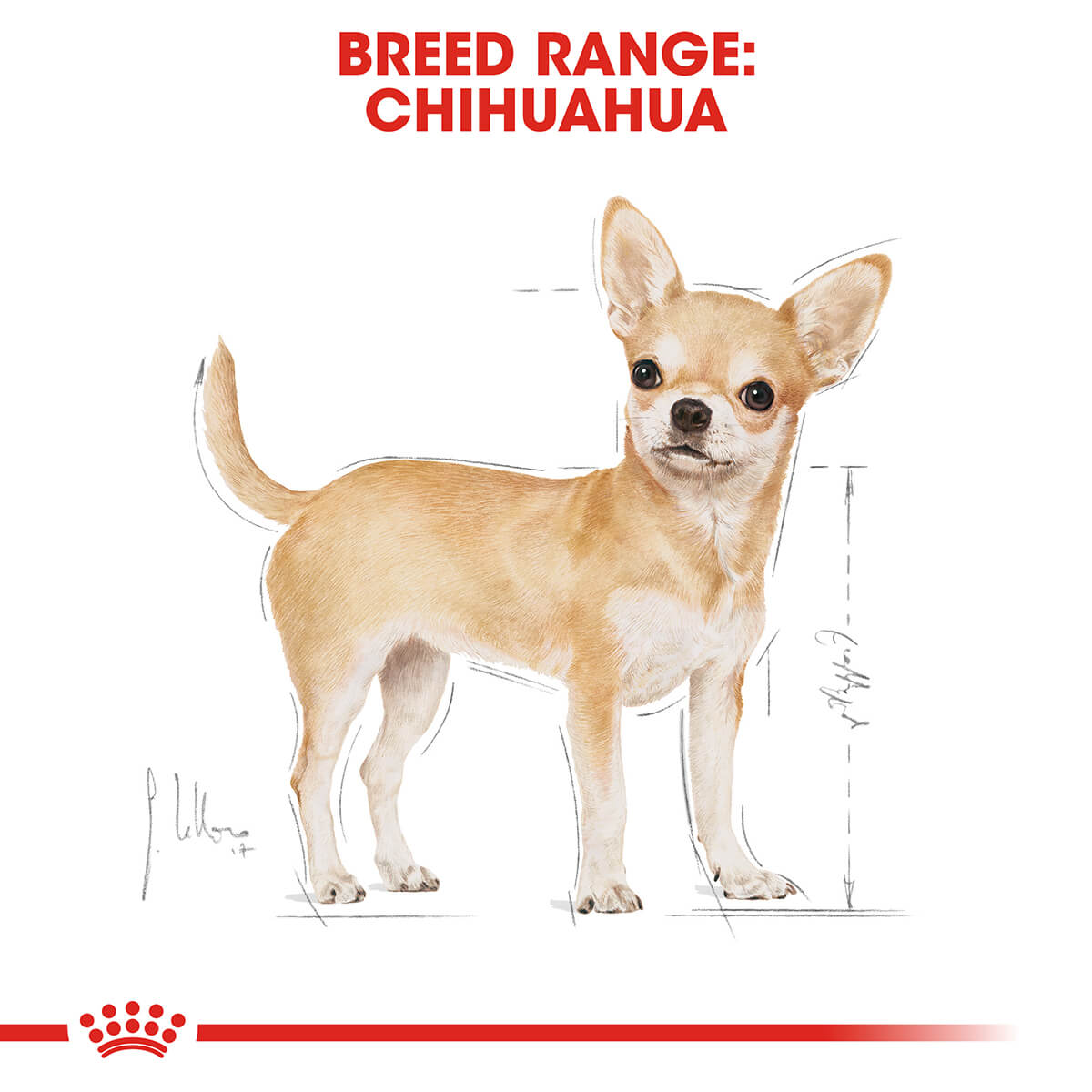 Royal Canin Chihuahua Adult Wet Dog Food 85G