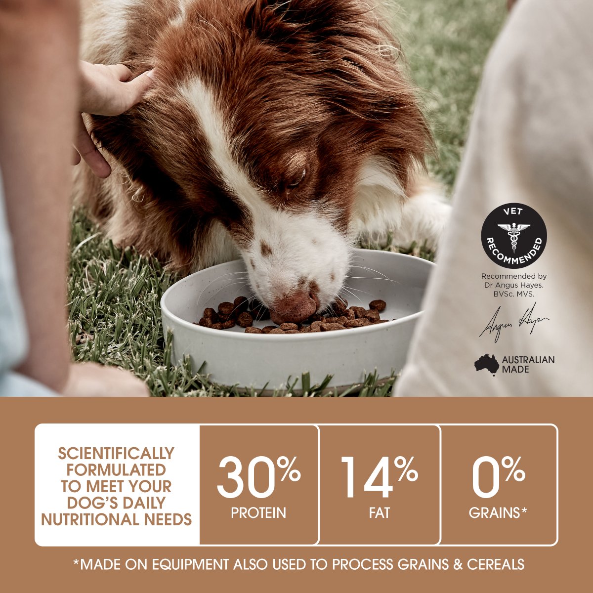 Ivory Coat Grain Free Adult Chicken Dry Dog Food