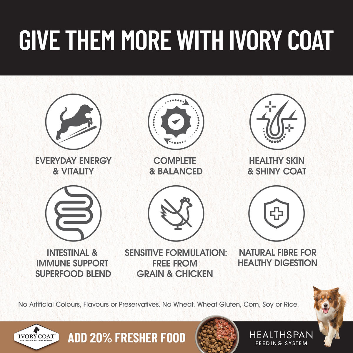 Ivory Coat Grain Free Adult Lamb & Sardine Dry Dog Food