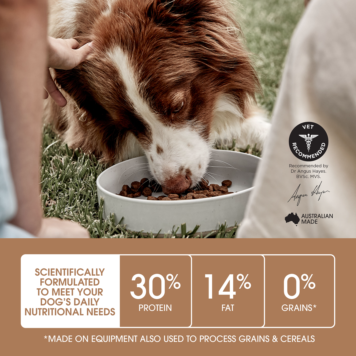 Ivory Coat Grain Free Adult Lamb & Sardine Dry Dog Food