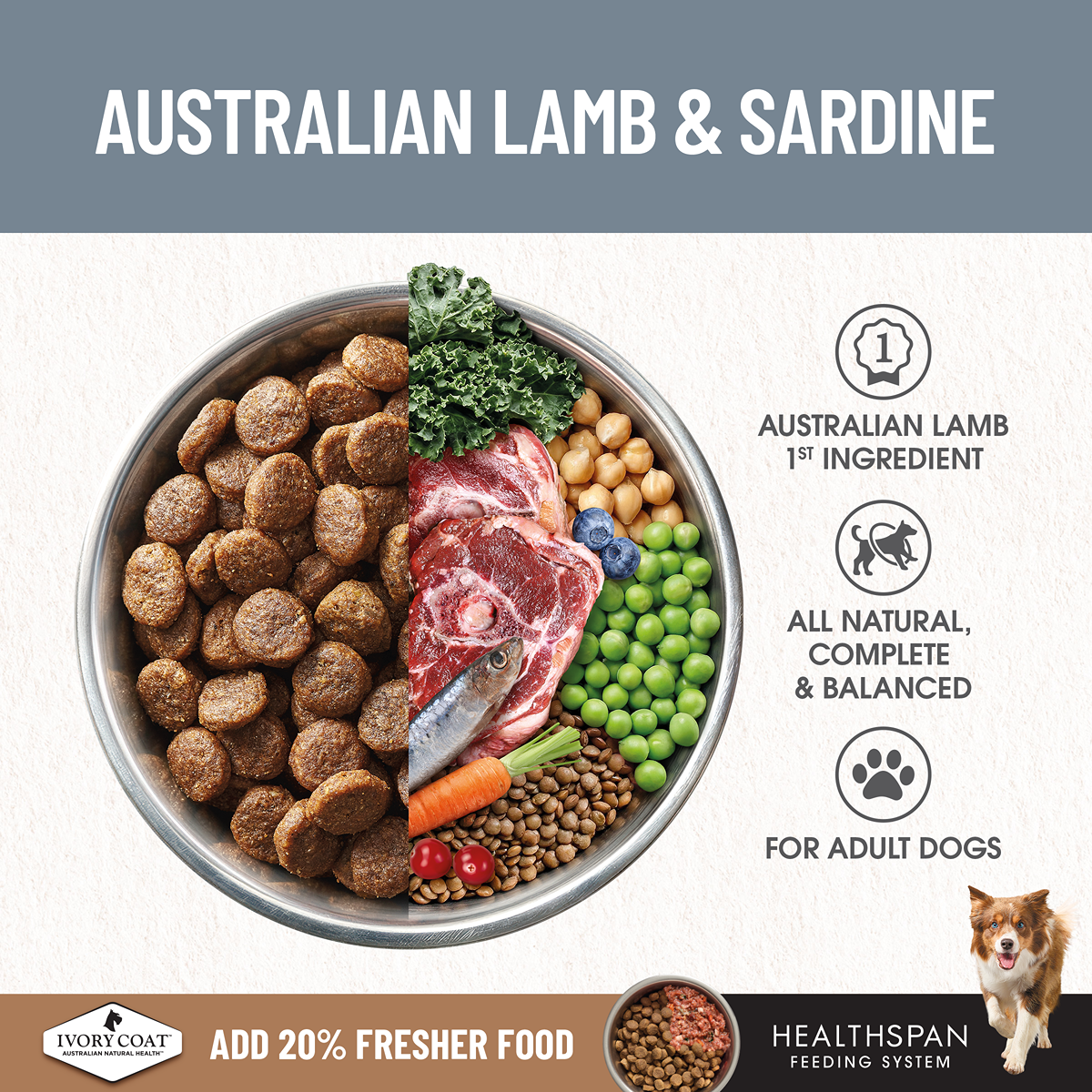 Ivory Coat Grain Free Adult Lamb & Sardine Dry Dog Food