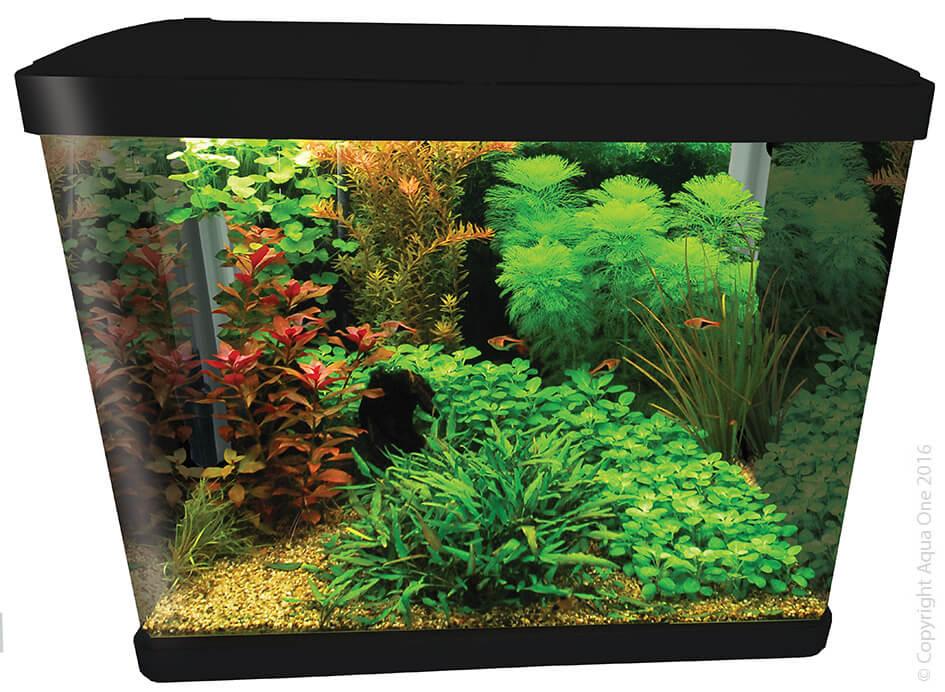 Aqua One LifeStyle Aquarium