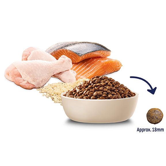 Advance Chicken & Salmon with Rice Adult Dry Cat Food