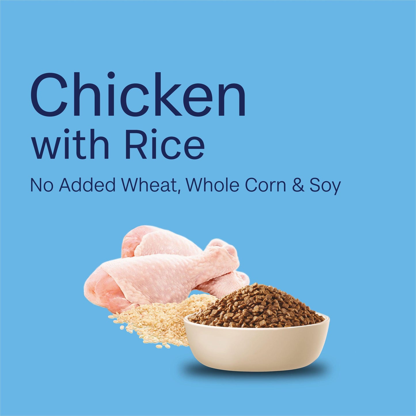 Advance Kitten Chicken With Rice Dry Cat Food