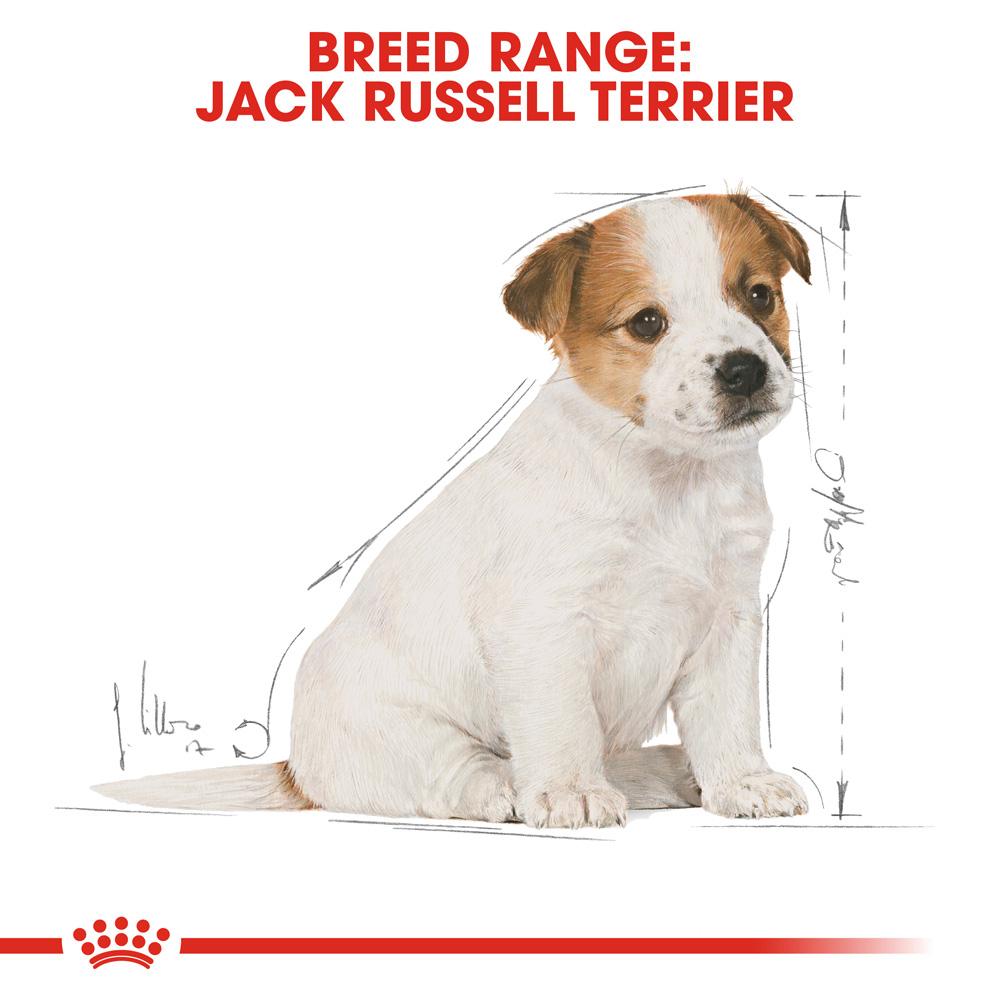 Royal Canin Jack Russell Puppy Dry Dog Food 1.5kg