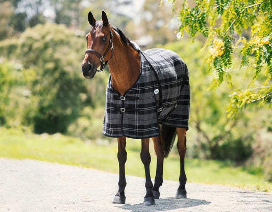 Caribu Horse Wool Rug