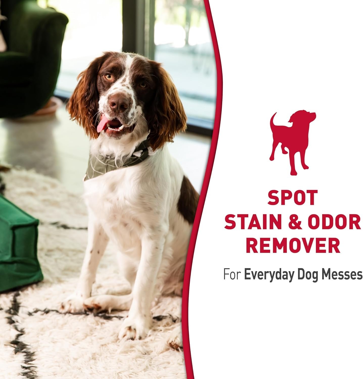 Nature's Miracle Dog Stain & Odor Remover