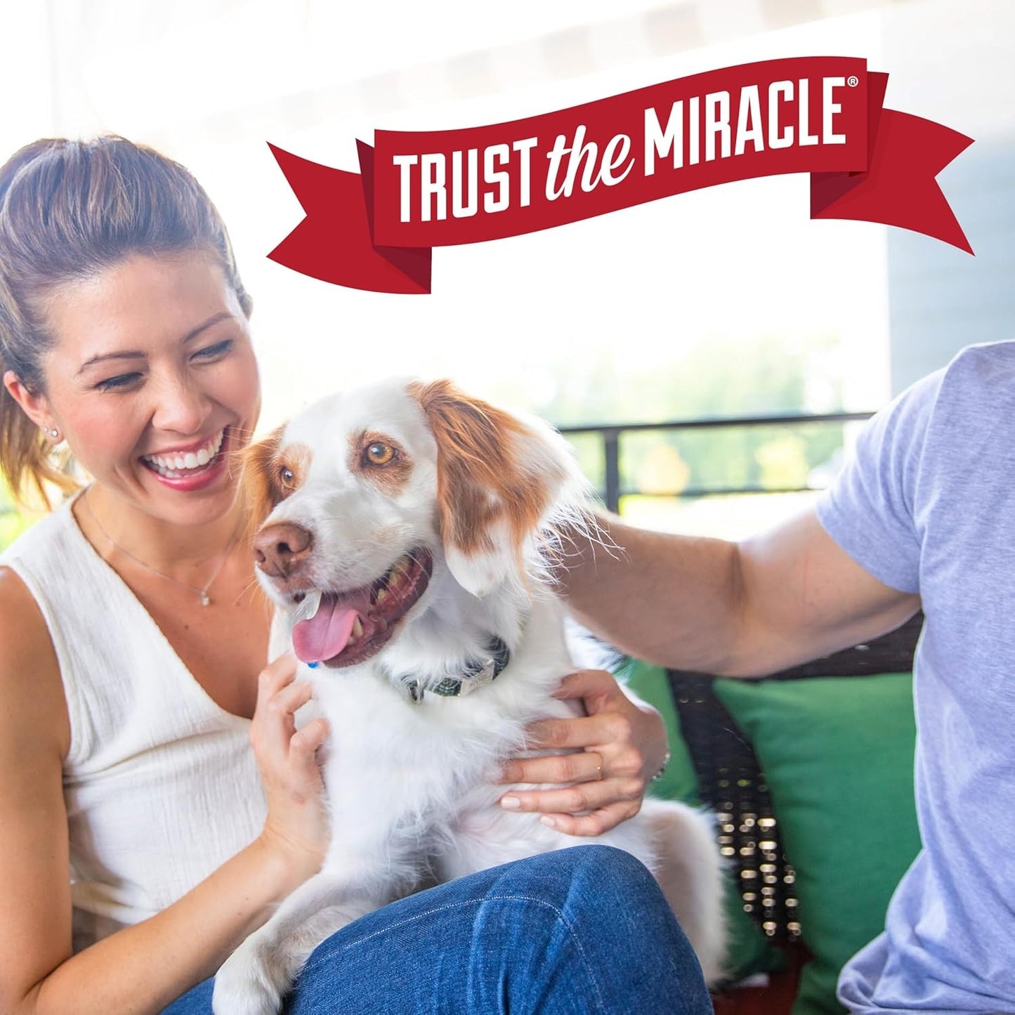 Nature's Miracle Dog Stain & Odor Remover