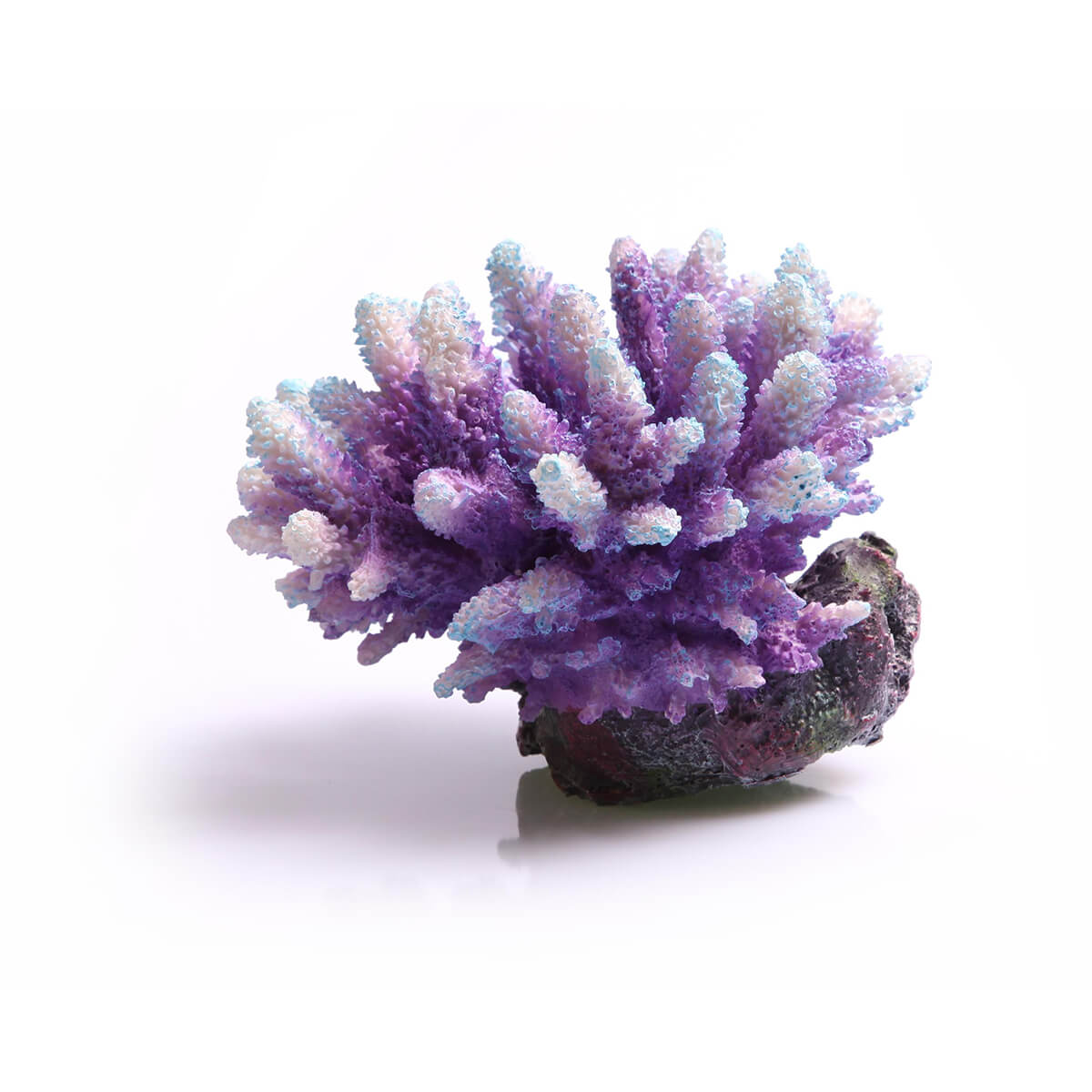 Aqua One Ornament Acropora