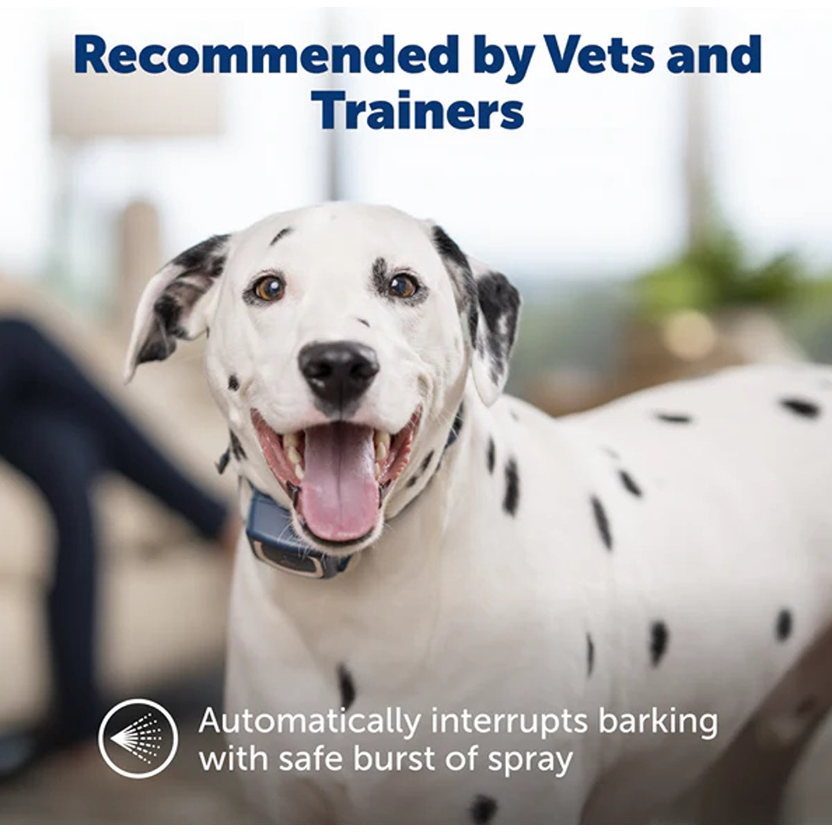 PetSafe Spray Bark Collar
