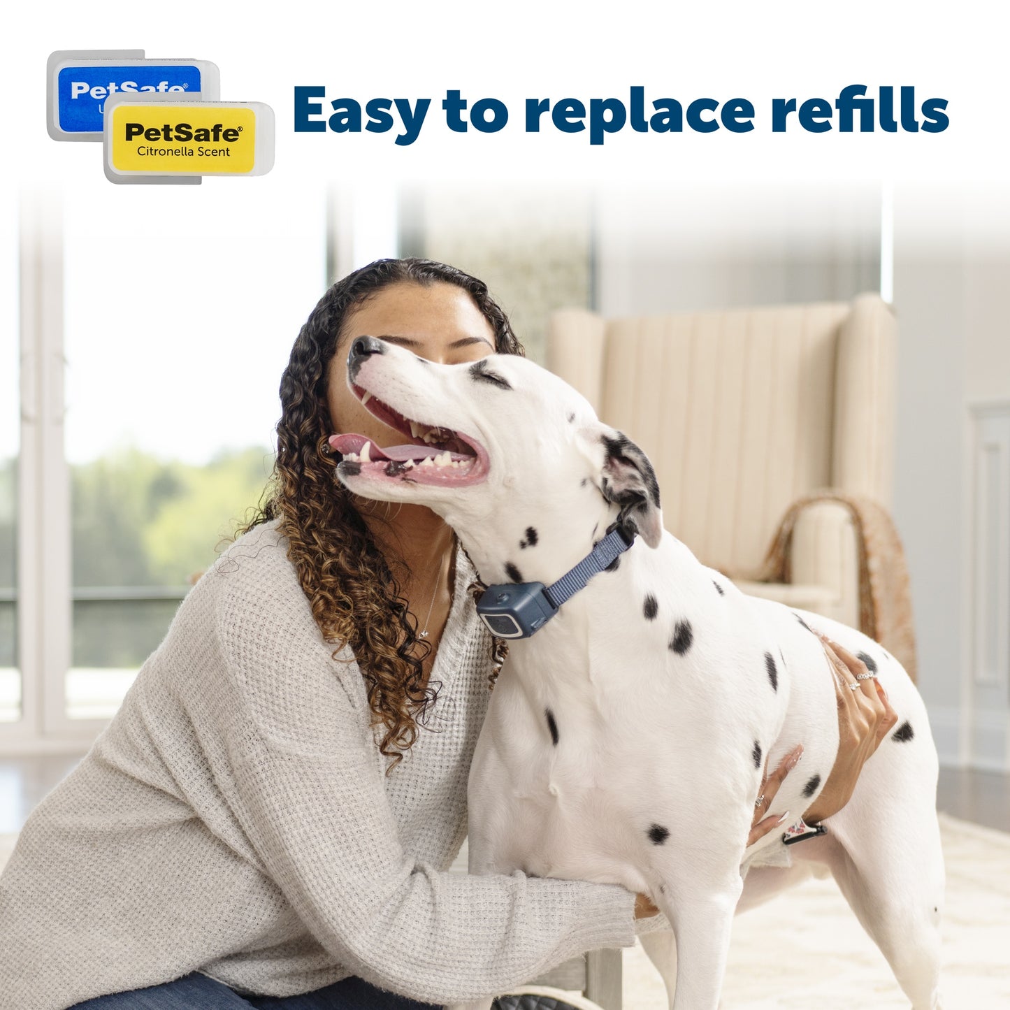PetSafe Spray Bark Collar