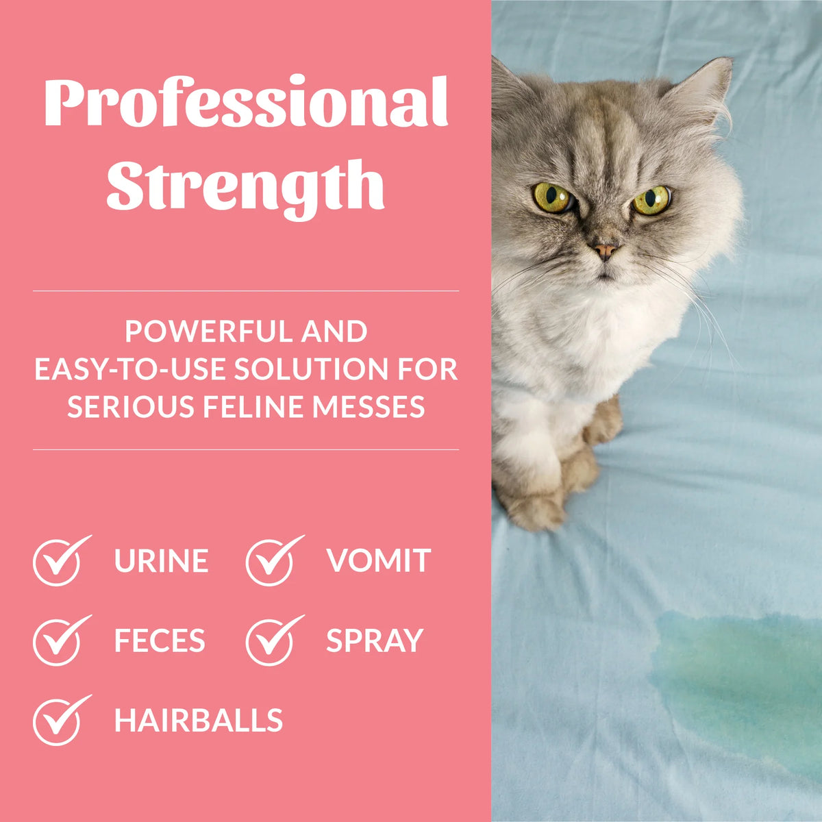 Skouts Honor Urine & Odor Destroyer for Cats