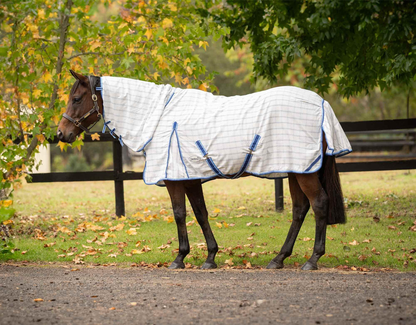 Caribu Ripstop Combo Horse Rug