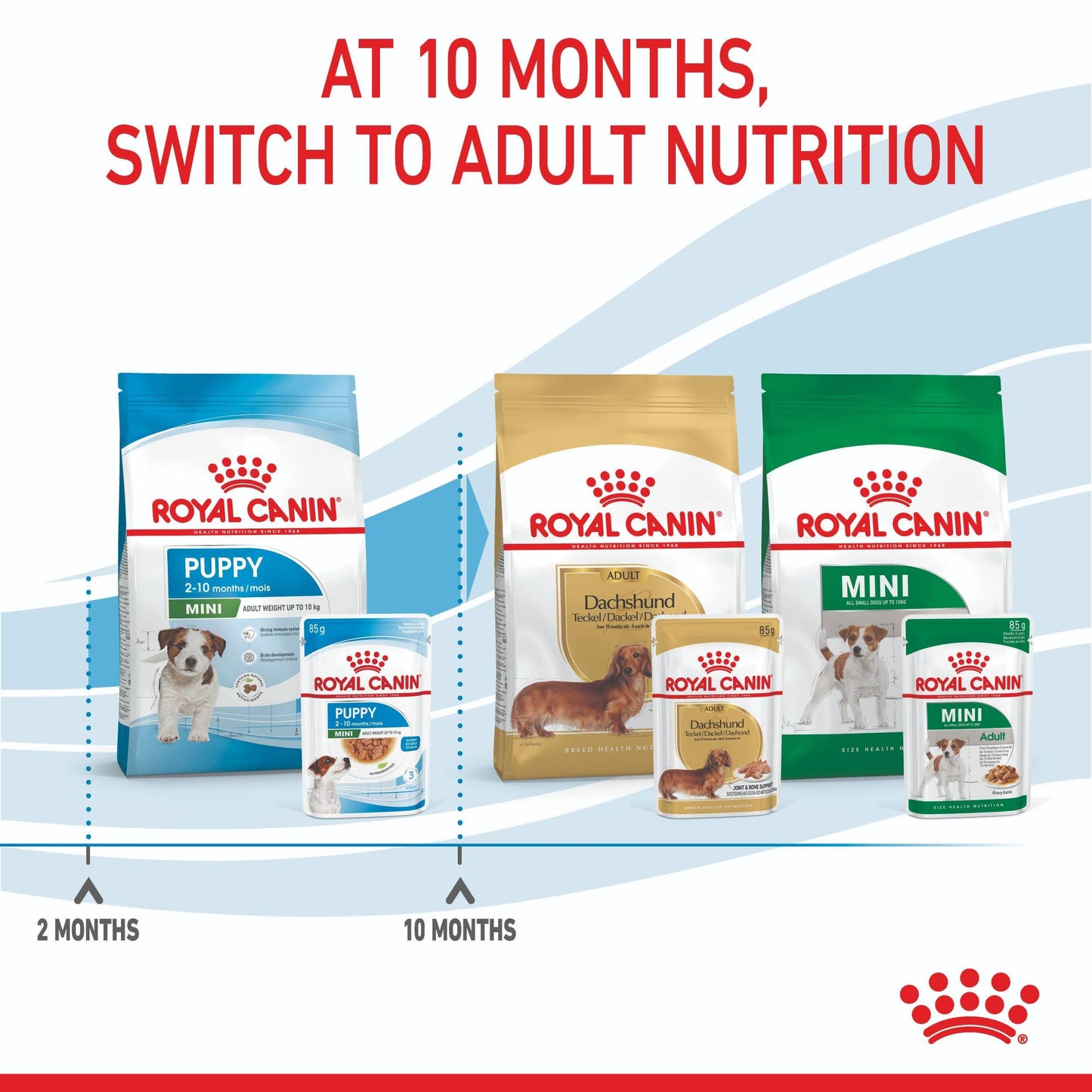 Royal Canin Mini Puppy Wet Dog Food 85G