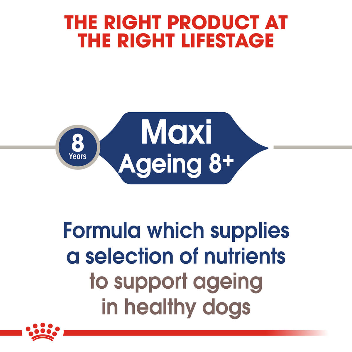 Royal Canin Maxi Ageing Senior Wet Dog Food 140G