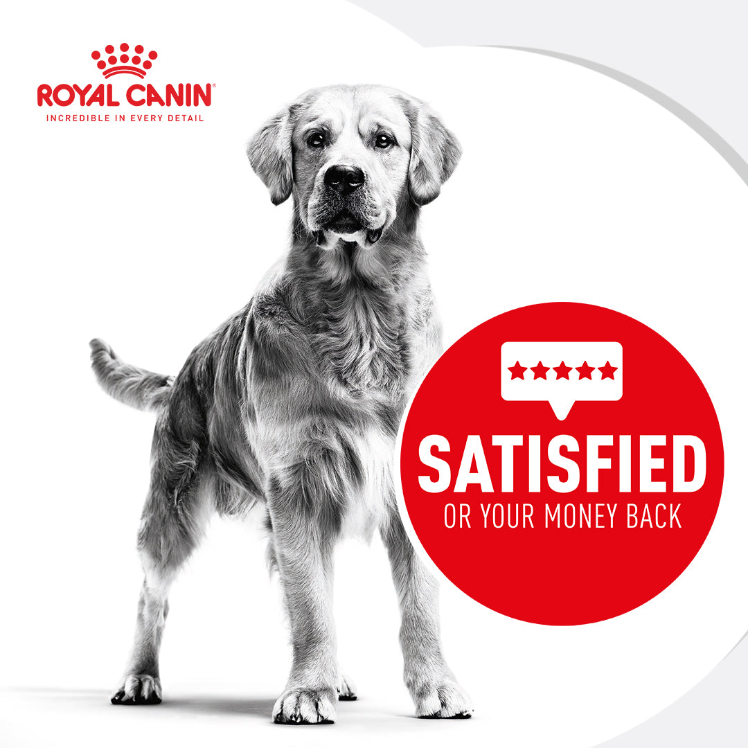 Royal Canin Maxi Ageing Senior Wet Dog Food 140G