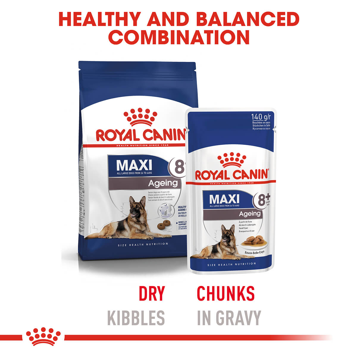 Royal Canin Maxi Ageing Senior Wet Dog Food 140G