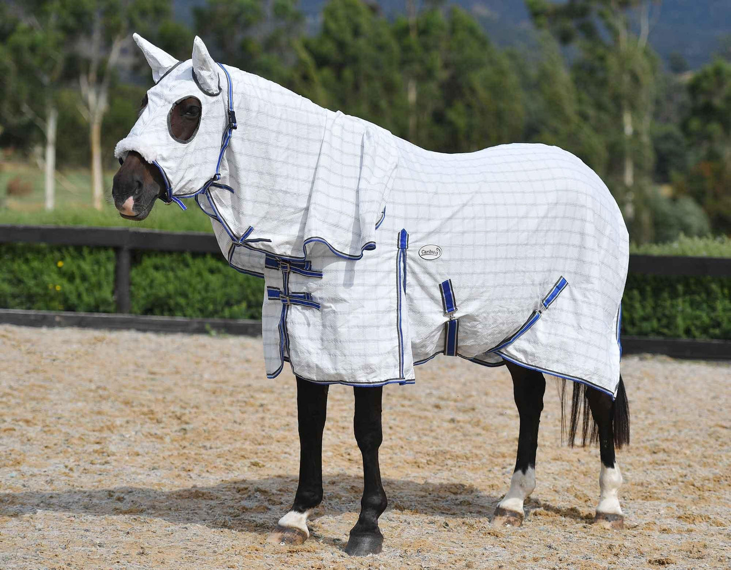Caribu Ripstop Hooded Horse Rug