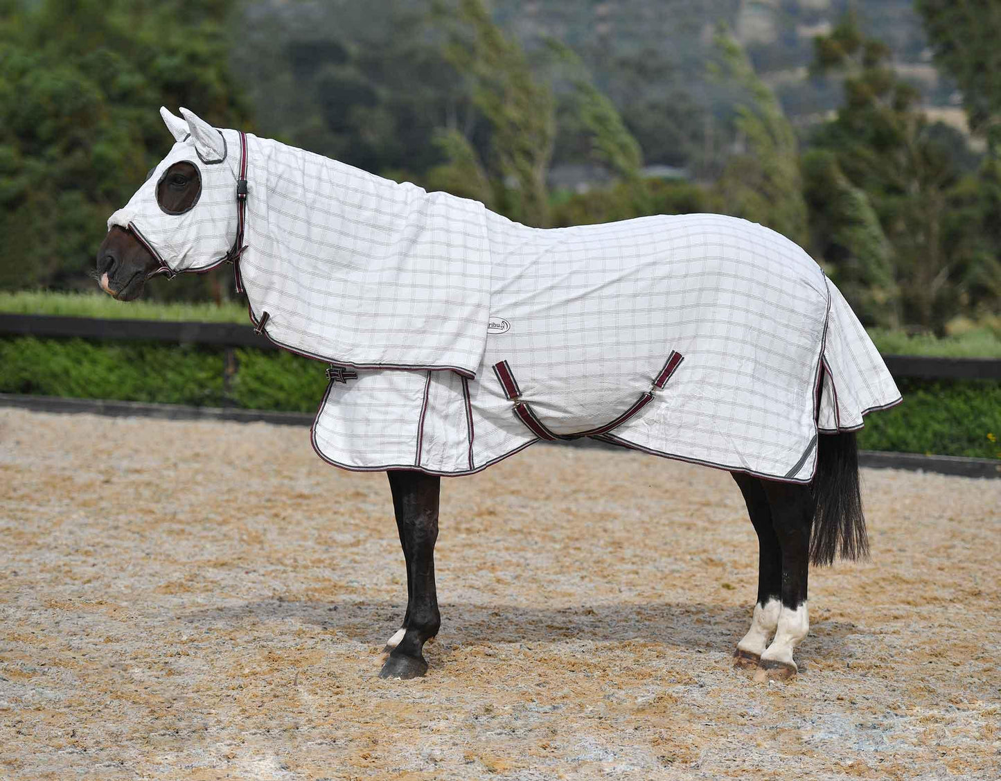 Caribu Ripstop Hooded Horse Rug